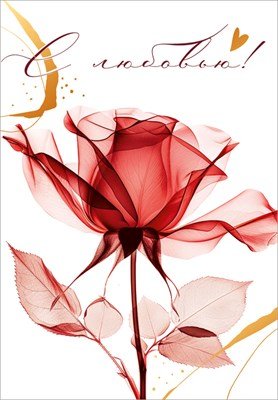 Бирка С любовью 52.962