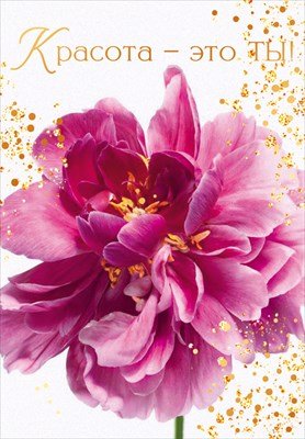 Открытка мини Красота  это ты жен 9.0001768