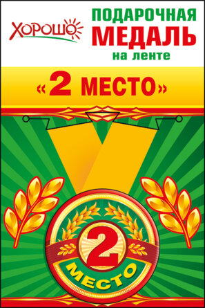 Медаль металлическая 2 место
