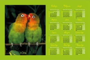 Магнитный календарь 2025 Нежность Попугаи