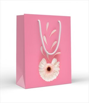 Бумажный пакет Гербера с лепестками 15.11.02236