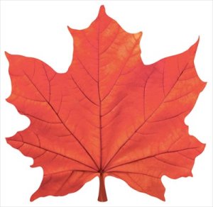 Украшение Кленовый лист оранжевый 1.0000421