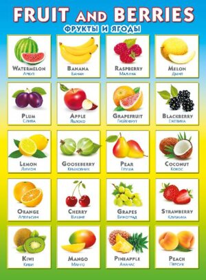 Плакат Фрукты и ягоды Fruit and Berries