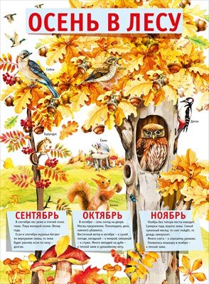 Плакат Осень в лесу