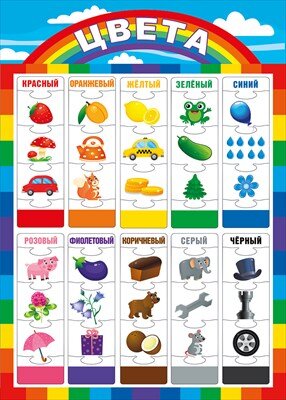 Плакат А4 Цвета