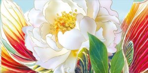 Конверт Без надписи жен 075.437