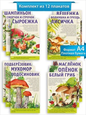 Набор мини плакатов Грибы 12 шт