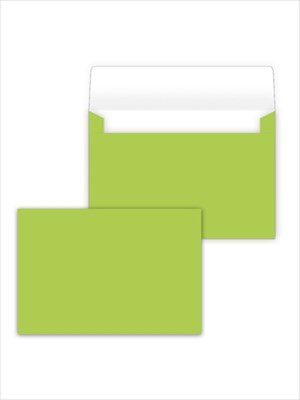 Конверт средний Крыжовник 091.608