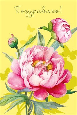 Открытка Поздравляю жен