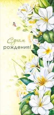 Открытка евро С Днем Рождения жен 021.979