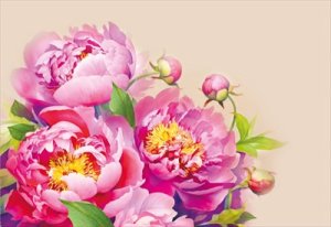 Конверт средний Пионы 091.631