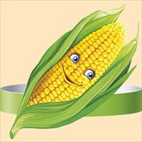 Ободок Кукуруза 29,285,00