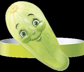 Ободок Кабачок 29,288,00