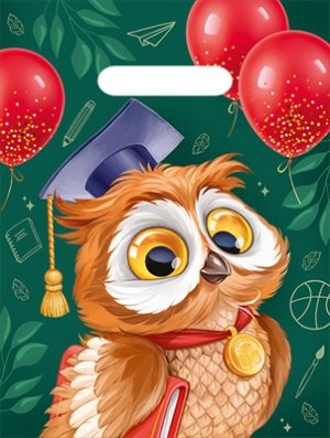 Полиэтиленовый пакет Ученая сова