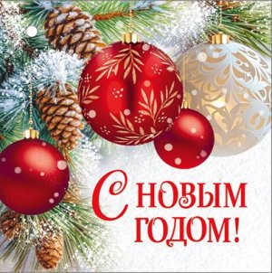 Бирка С Новым годом 3.0001392
