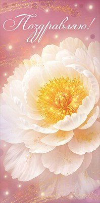 Конверт Поздравляю жен 3.0001872