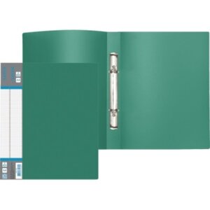 Папка на 2 кольцах Daily A4 20мм 600мкм Зеленая 3081406