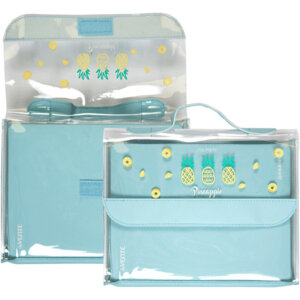 Дневник 1-11 Pineapple 2020295