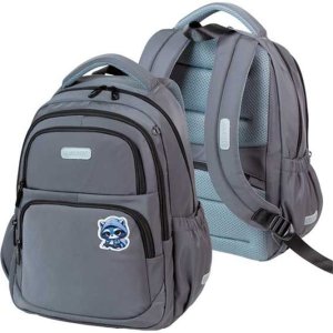 Рюкзак Zoom Cool Raccoon школьный 38x30x19 см 16 л 550 г износостойкий полиэстр 7033627