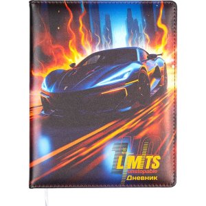 Дневник 1-11 No Limits 2020605