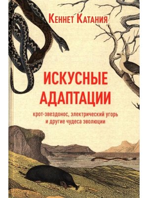 Искусные адаптации