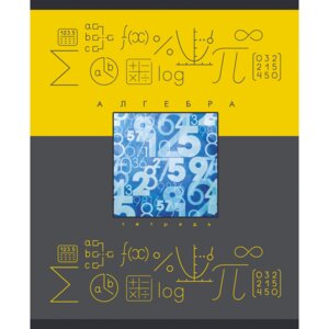 Тетрадь  48л Клетка Теория и практика Алгебра ТТЛ486450