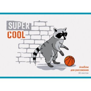 Альбом 30л Енот-баскетболист АЛ302166
