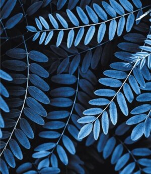 Тетрадь  48л Клетка Ночной Сад ТКФ487748