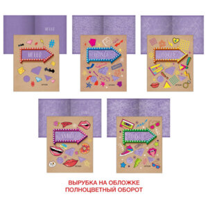 Тетрадь  48л Клетка Вечеринка Двойная обложка ТКК487247