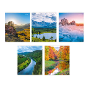 Тетрадь  48л Клетка Пейзажи России 5 диз эконом ТК488363