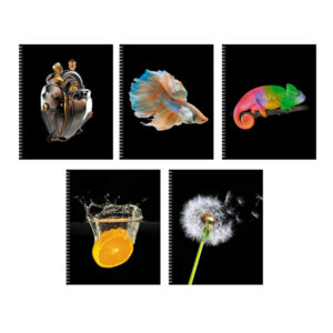 Тетрадь 96л Клетка На контрасте Спираль ТС968552