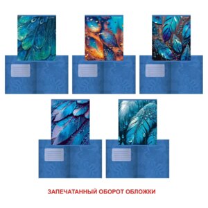 Тетрадь 48л Клетка Сияние 5 диз ТКЛ488735