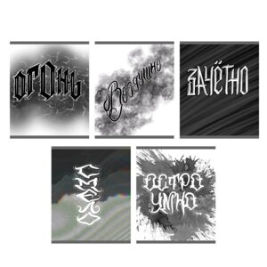 Тетрадь  48л Клетка Двойная обложка Стильная серия пластик ТКП488838