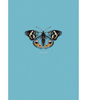 Книга для записей 64л А6 Клетка Бабочка КЗБ6644083