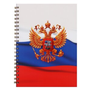 Тетради 120л А4 Линия Россия Евроспираль ТС41205240