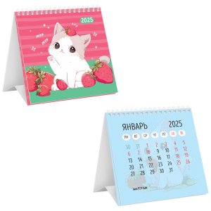 Кал 2025 Домик Strawberry kitty на гребне 100*100 мм 370776