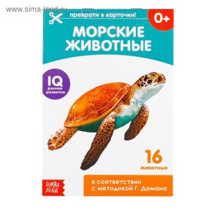 Обучающая книжка по методике Домана Морские животные 3445447