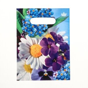 Полиэтиленовый пакет Яркое лето 19х25 9489588 (н00229625)