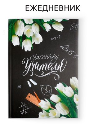 Ежедневник  80л недатир А5 Классному Учителю 4754464