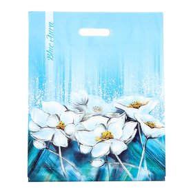 Полиэтиленовый пакет Аура 38х47см 10370993