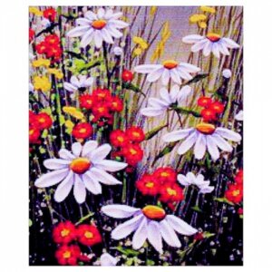 Алмазная мозаика Ромашковое поле 20*28см 25 цв N-148 4116272