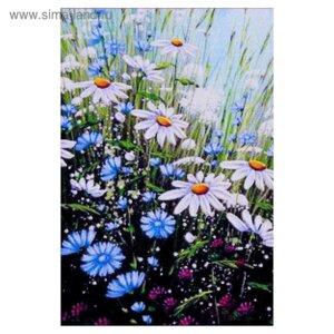Алмазная мозаика Ромашковое настроение 20*29см 25 цв N-158 4116279
