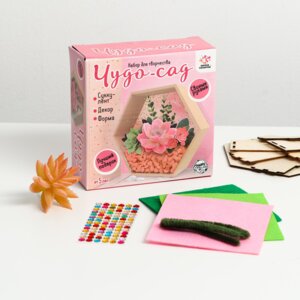 Набор для творчества Чудо сад выращиваем суккуленты   5231829