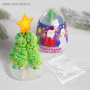 Эврики Набор для опытов Новогодние кристаллы МИКС  4324388