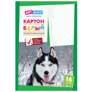 Картон белый 16л в папке Немелован Нкн16б_6962 / 220683