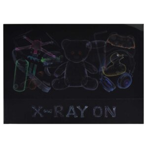 Папка для тетрадей А4 пласт Рентген 66331