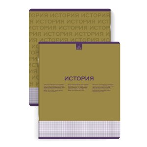 Тетрадь предм 48л Клетка Нескучная классика История 67482