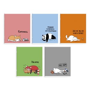 Тетрадь  48л Клетка Герои с характером 68535