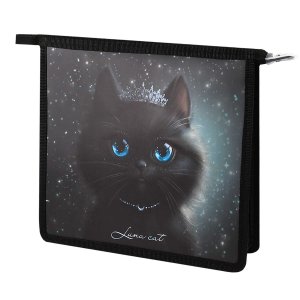 Папка для тетрадей А5 Принцесса луна пластик 69297