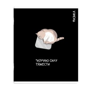 Тетрадь предм 48л Клетка КОТЫ МЕМЫ Физика 69822